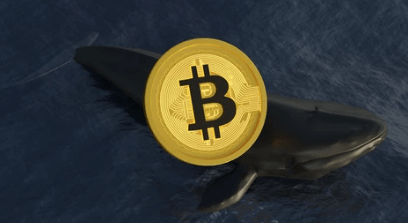 Bitcoin Whale Carries Out Massive Sell-Off